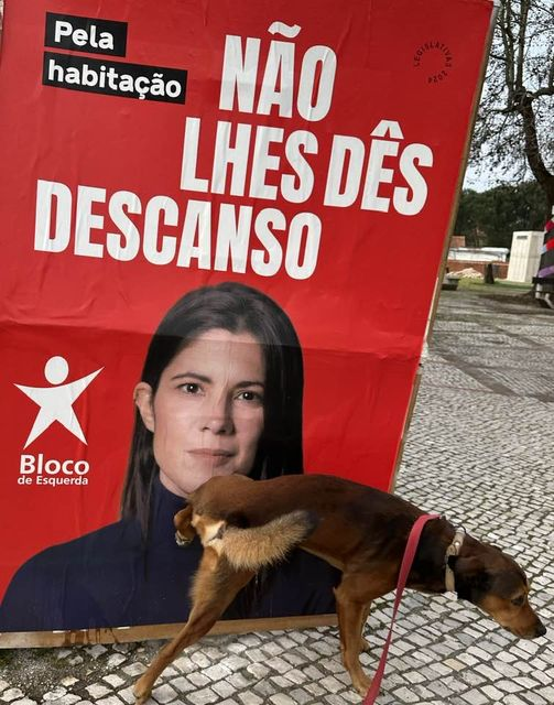 Jeff Nascimento (@jeffers78017291) on Twitter photo 