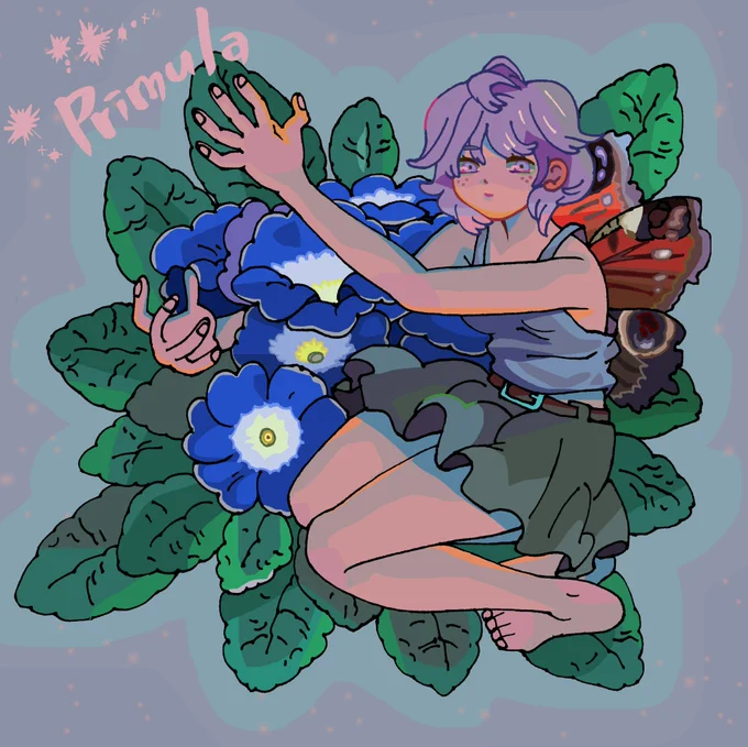 プリムラ 