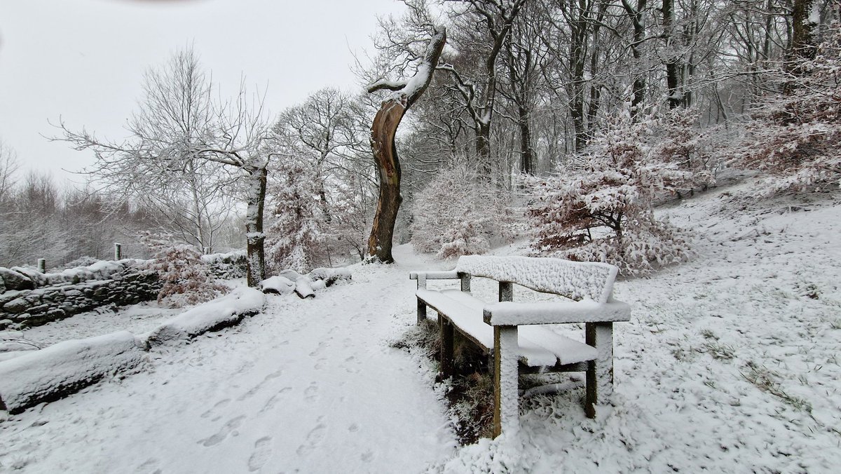 Socially distant 🙂 
#SunnyBuxton (snowy Buxton)