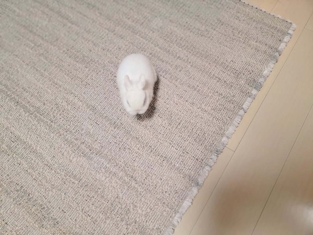 ぎゅってしてね🐰