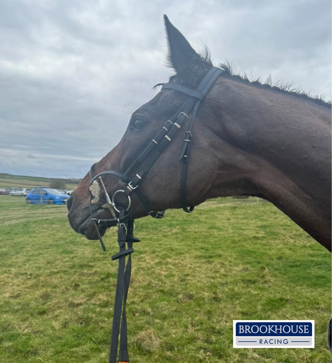 Winner 🥇 

They are at it again! 

𝙀𝙨𝙥𝙤𝙞𝙧 𝘿𝙚 𝙏𝙚𝙞𝙡𝙡𝙚𝙚 &amp; <a href="/fernobrien_/">Fern O’Brien</a> team up to land the Ladies Open prize <a href="/GarthorpeRaces/">Garthorpe Races</a> last weekend for Mr R S Brookhouse.

What a pairing🏆