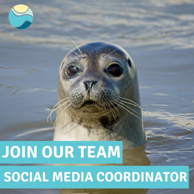 📢 #Job alert 

@FMConservation is hiring a Social Media Coordinator! 📸

Be part of an ocean-loving team dedicated to protecting precious marine life. 
🐡🦐🌊🐟🐙🐬🦞🐋🐚🦑

To apply, email info@falmouthmarineconservation.co.uk📣