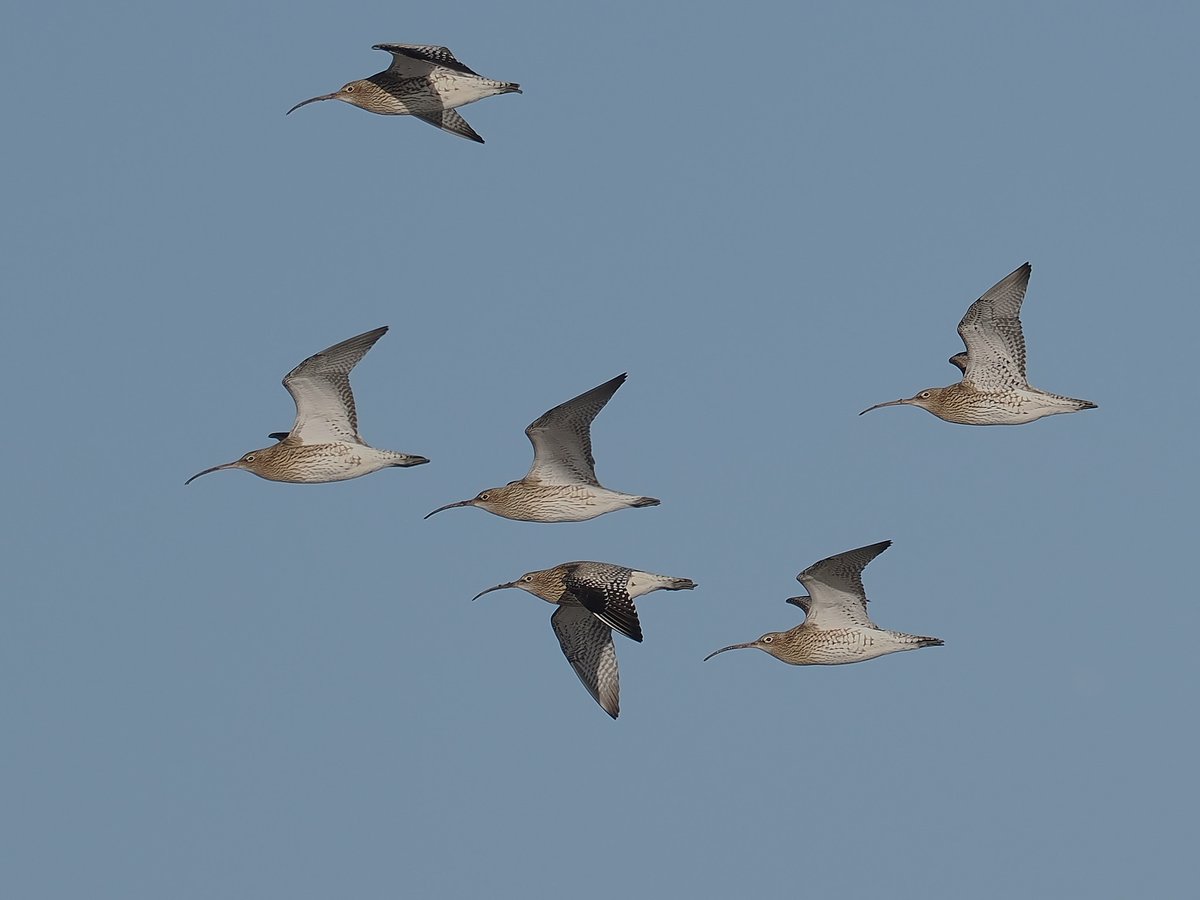 andy taylor tweet media