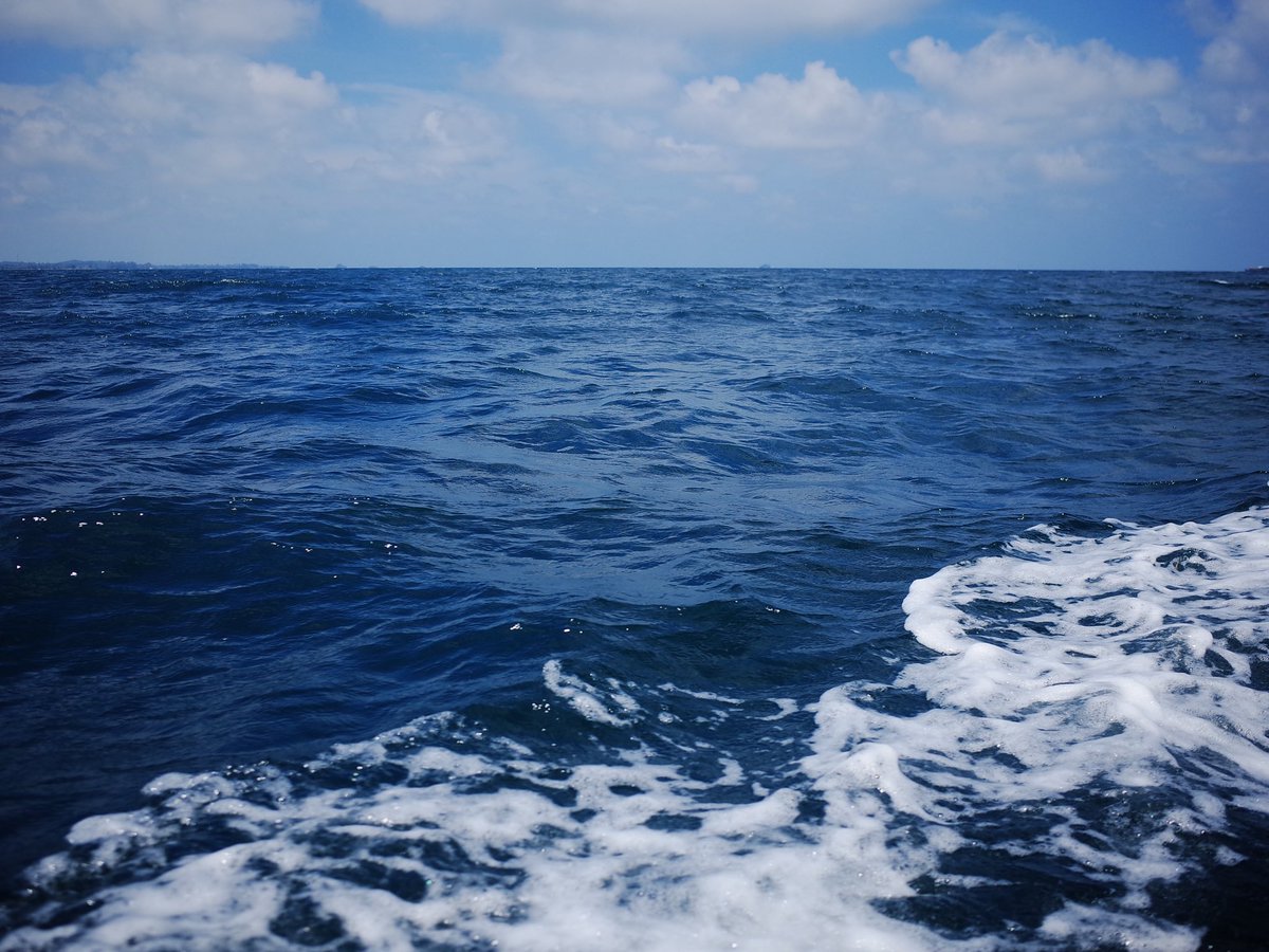 inthebackseats's tweet photo. 先週末ダイブイング行きました。初めてですから怖かった。

I went diving last weekend! It was my first time so it was scary. https://t.co/bL5fvdDwAY