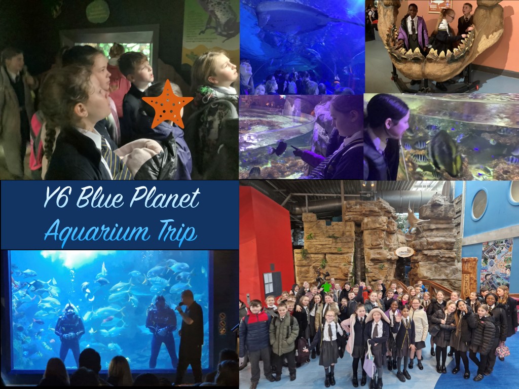 WestonFed's tweet photo. Year 6 pupils really enjoyed their visit to the Blue Planet Aquarium this week. https://t.co/PCn0Z07Kl1