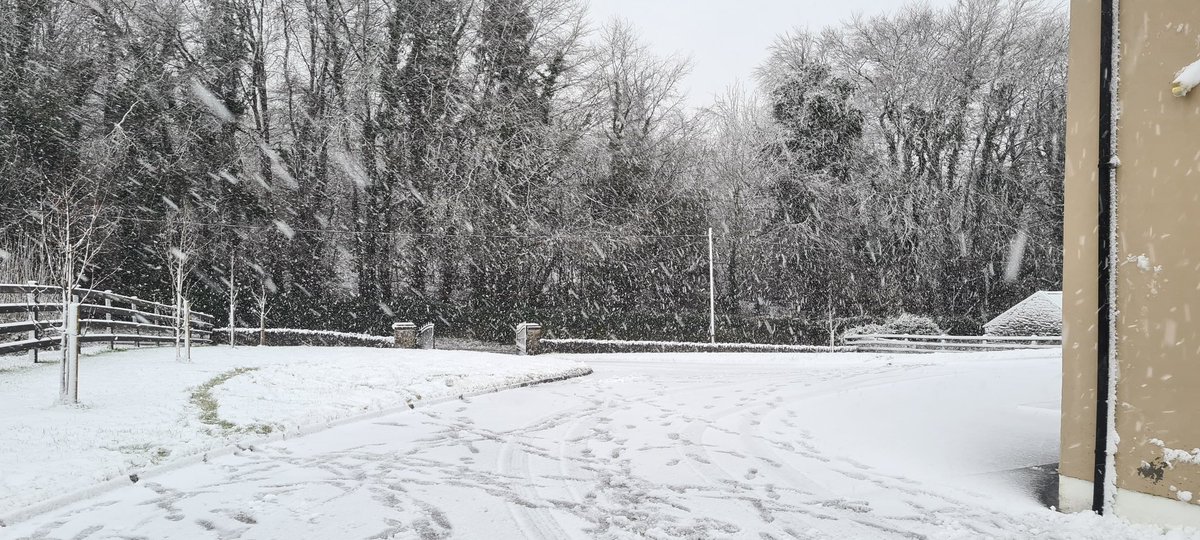 keviw2000's tweet photo. @CarlowWeather Roscommon https://t.co/0wfASt74CH