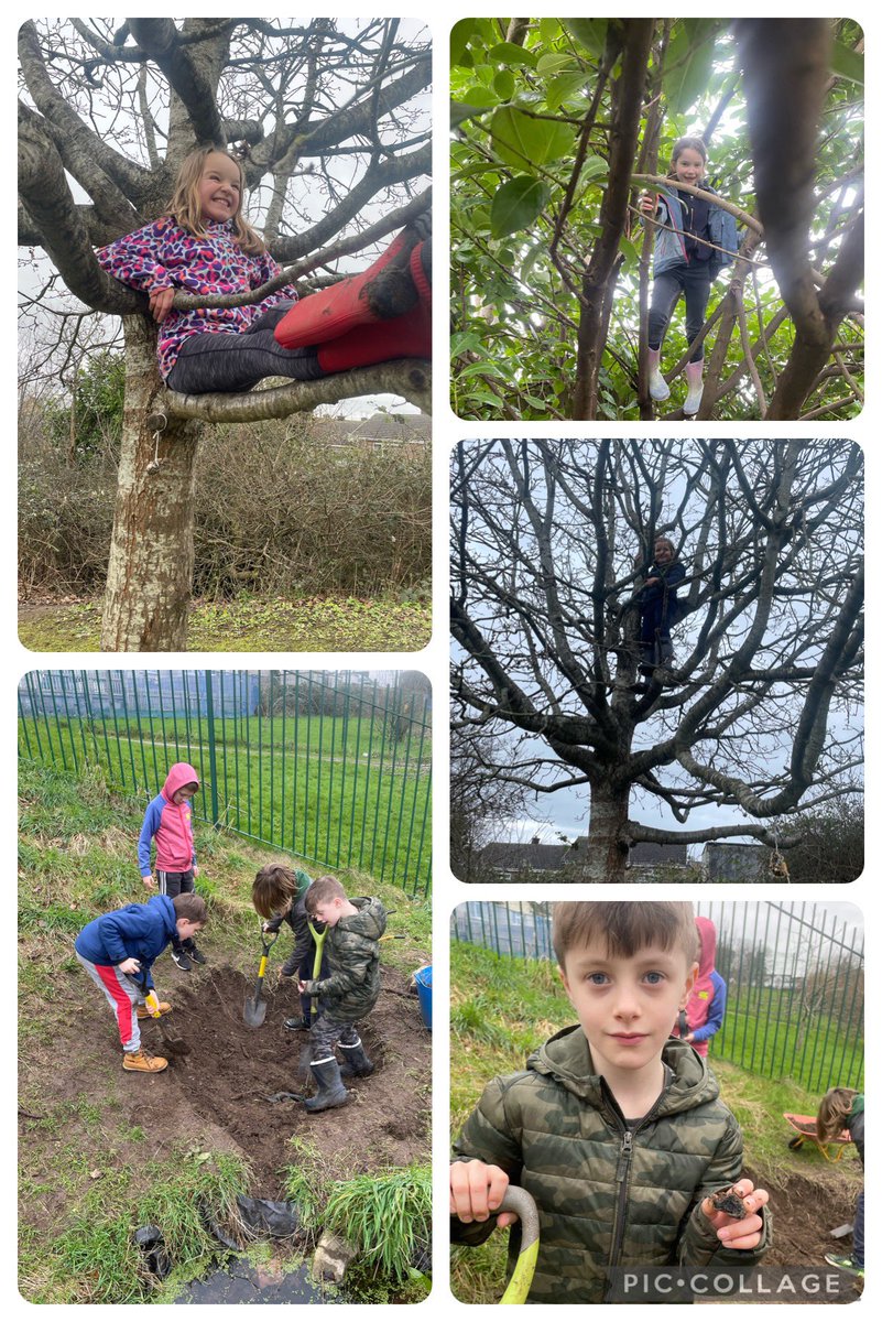WalesWildfire's tweet photo. @ysgoliolo Hwyl yn y Goedwig - dringo, palu, bwydo’r aderyn, chwarae!
Lots of fun in the woods - climbing, digging (coal mining say the boys), feeding the birds and playing! Diolch Blwyddyn 3 https://t.co/Pu8AdYGMgR