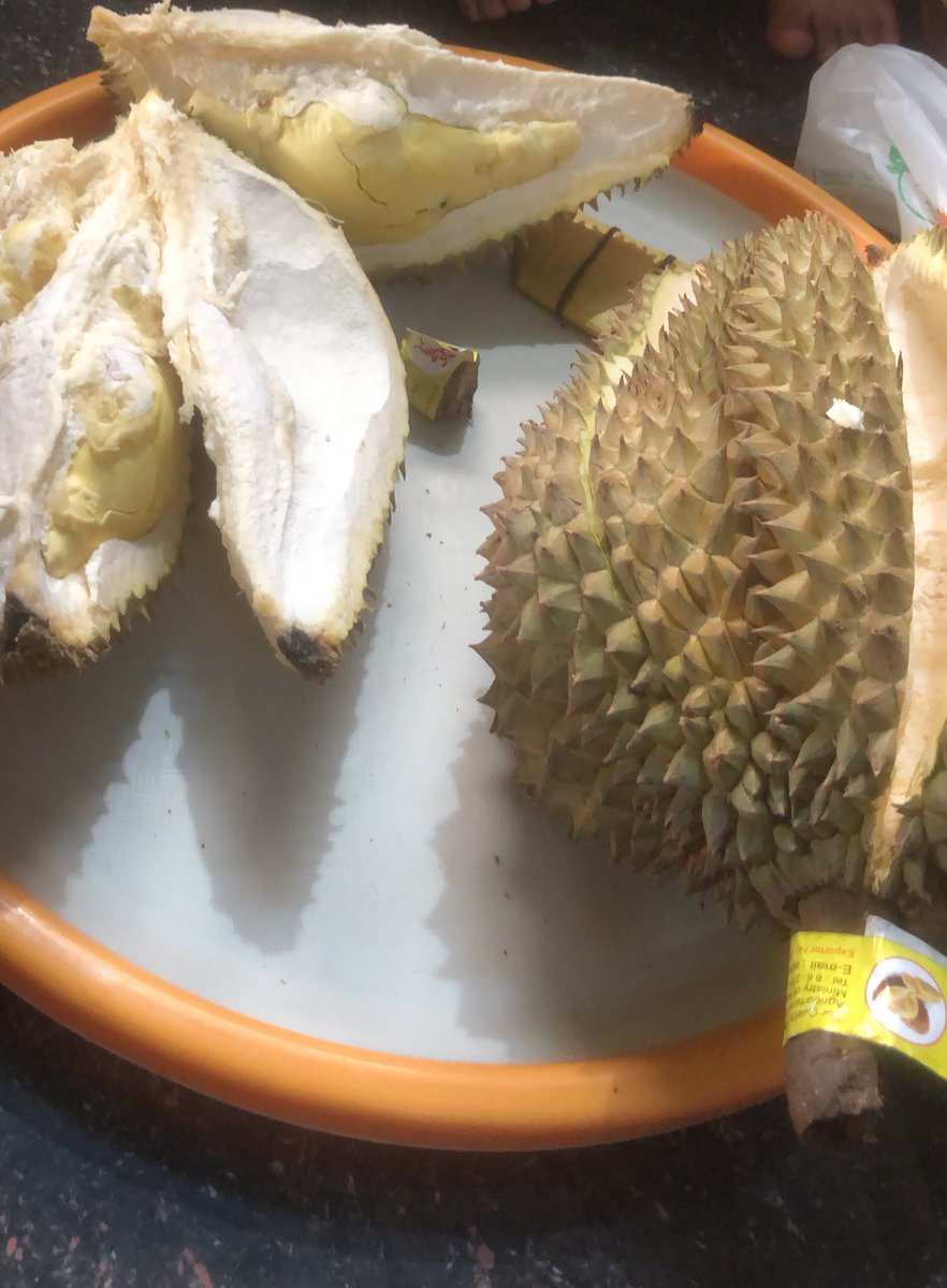 duren gede bgt😭jadi ngebayangin ini kalo diem di bawah pohonnya apa ga genjur ya kepala kalo kejatuhan ini duren