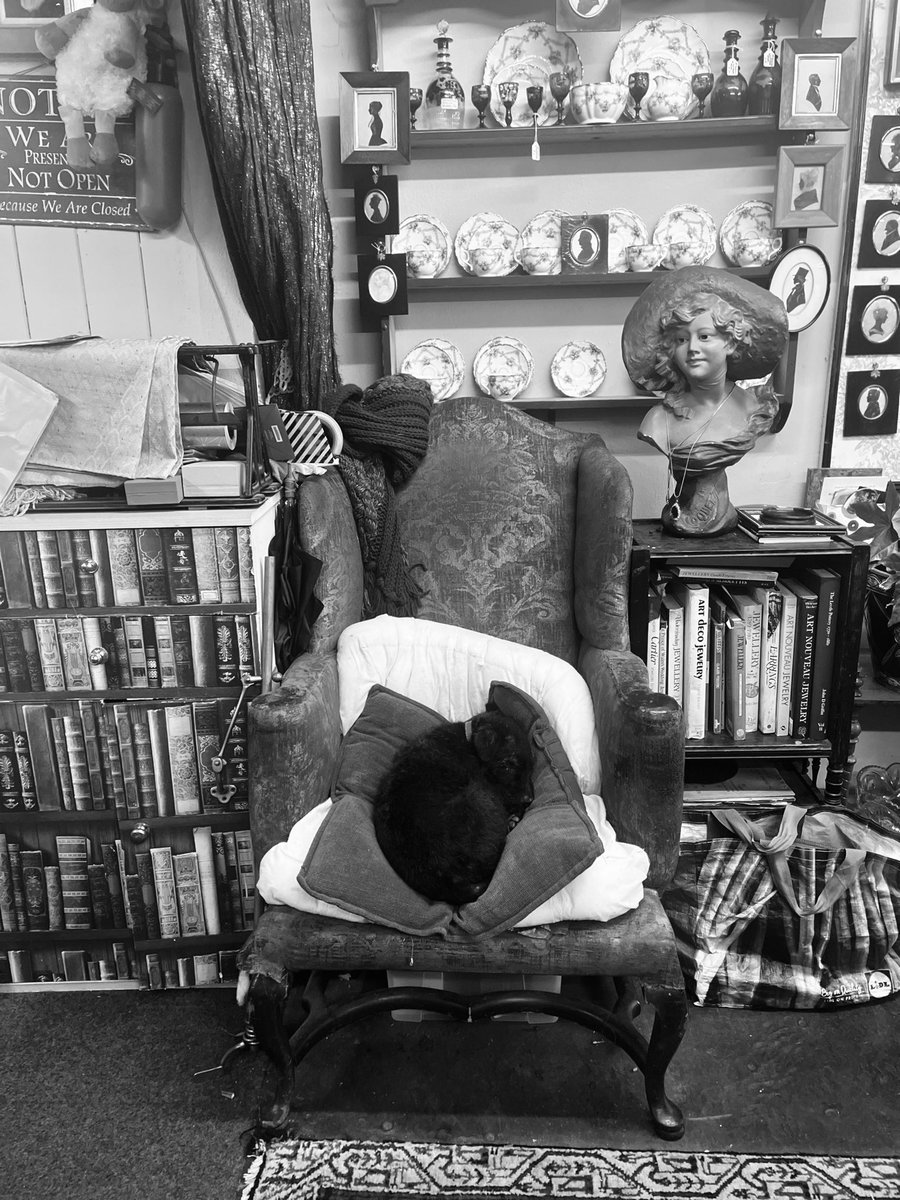 NdavisonR's tweet photo. As time goes by
From my
#30secondsofstreet #thecomfortofstrangers portrait project
Circa 2017 - then 2024 I returned Micheal has died - the shop he started 30 years ago remains with Archie the dog who sits in his chair that has never moved in 30 years( the chair not the dog) https://t.co/VIfN2e7ANm