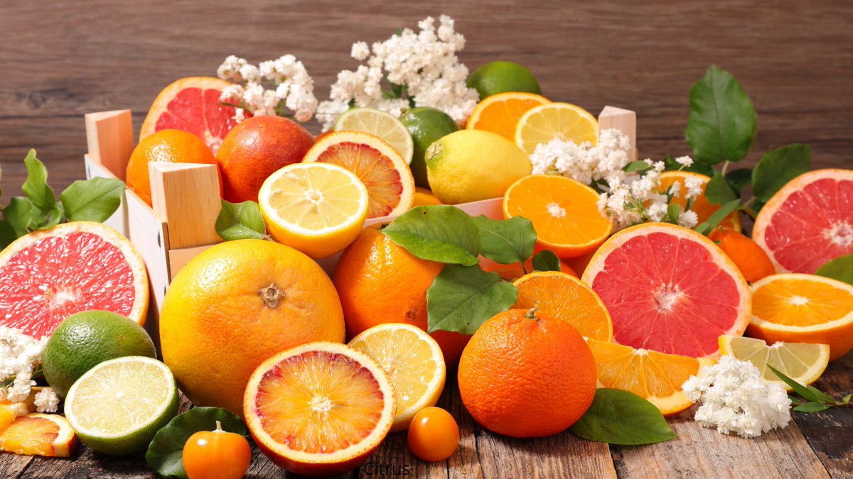 14. 🍊 Day 14: Citrus Sensation.
Zest up your day with citrus! Mediterranean diets feature oranges, lemons, and grapefruits, bringing a burst of flavor and vitamin C. 🍋
#30DayChallenge #MediterraneanDiet #healthylifestyle #mdrproject