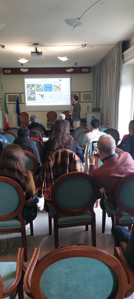 @lifefalkon tweet media