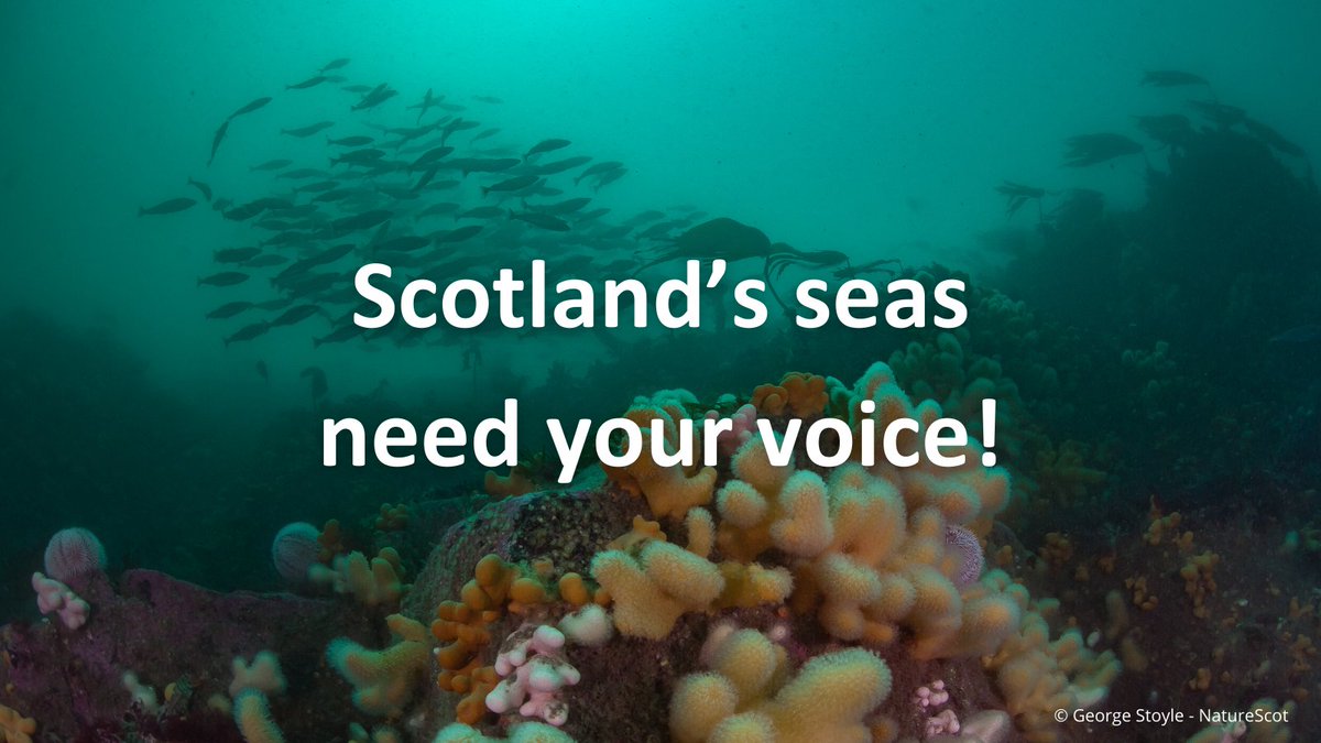 Scottish Environment LINK tweet media