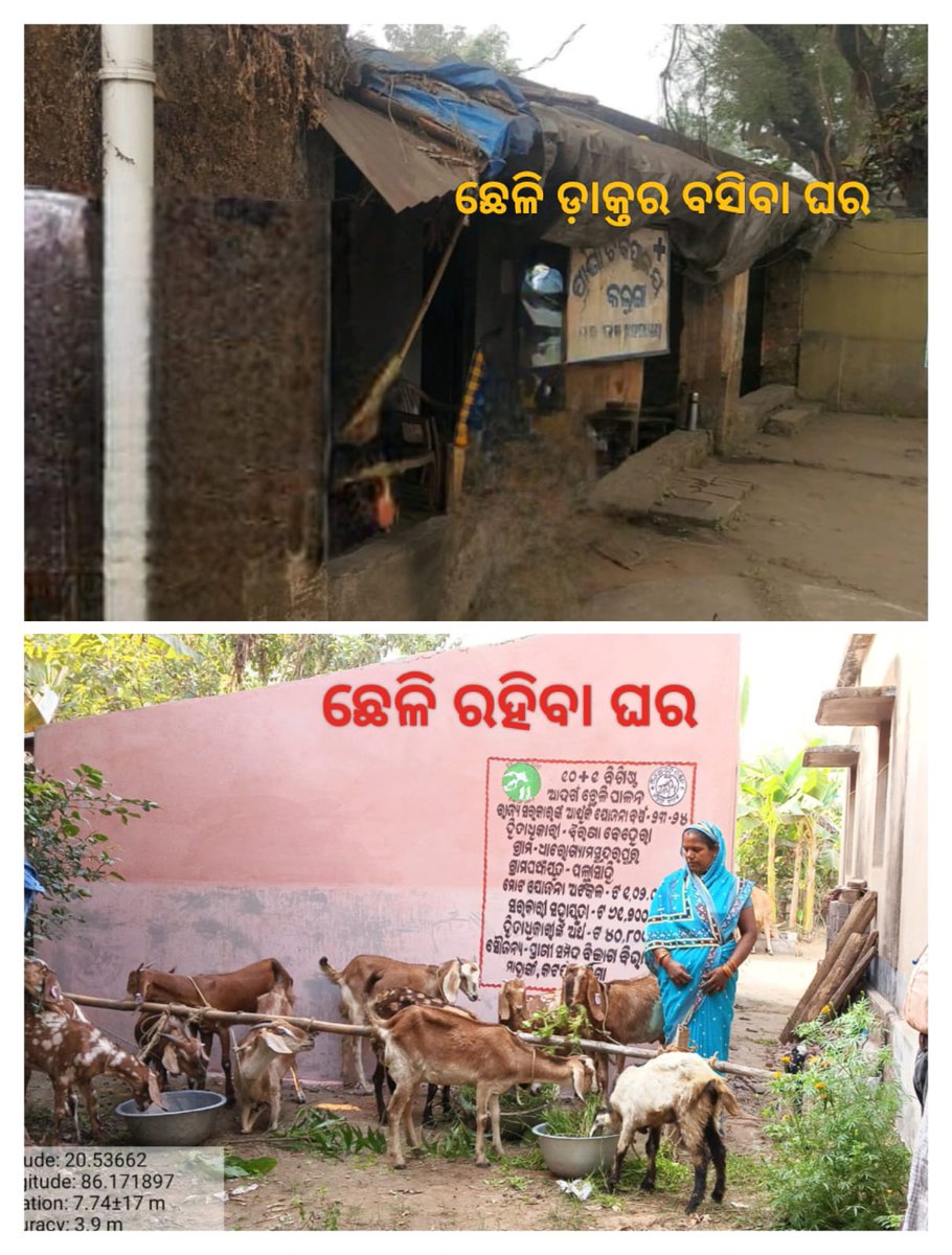 କାହିଁକି ସରକାର ପଶୁ ସମ୍ପଦ ବିଭାଗକୁ ଅବହେଳା କରୁଛନ୍ତି |ପଶୁଡାକ୍ତରଖାନା ରେ କେବେ 5T ର stamp  ବାଜିବା #OdishaVetsOnProtest #VetsOnProtest <a href="/CMO_Odisha/">CMO Odisha</a> @farddept <a href="/MoSarkar5T/">MoSarkar 5T</a> <a href="/nabina_odisha/">Nabina Odisha</a> <a href="/nabina_odisha/">Nabina Odisha</a> <a href="/Vkpandianfancl1/">Vkpandianfanclub</a>
