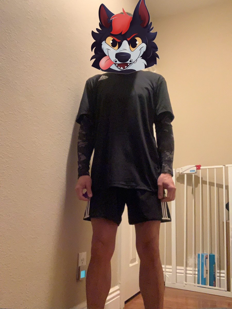 thejaiwolf's tweet photo. Jai was “motivated” by another local fur to go workout. Jai had no choice.
#furry #furries #furryfandom #fursona #fursuit #fursuiter #furryworkout #fursuiting #furryfit https://t.co/uA6sm5in8V