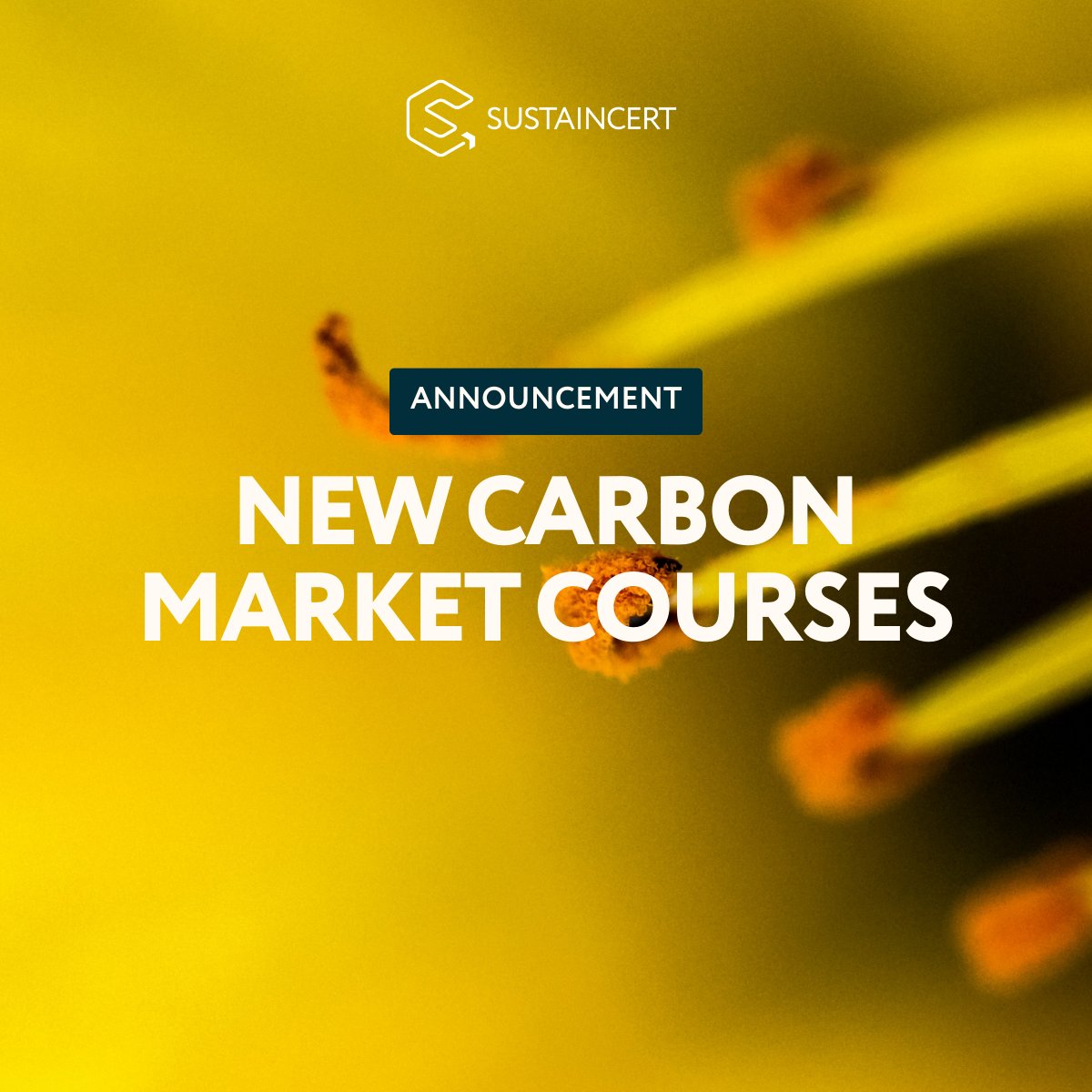 New courses available on the SustainCERT Academy ✍ Learn core concepts for project developers in carbon markets, including baseline, additionality and conflict of interest. Check out the SustainCERT Academy and register now ➡️ bit.ly/488ljWe