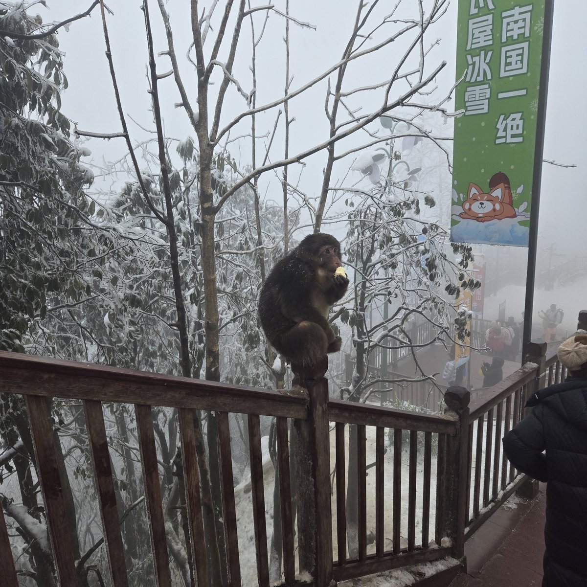 福利姬热分享的黄推图片4 - 网红私拍内容