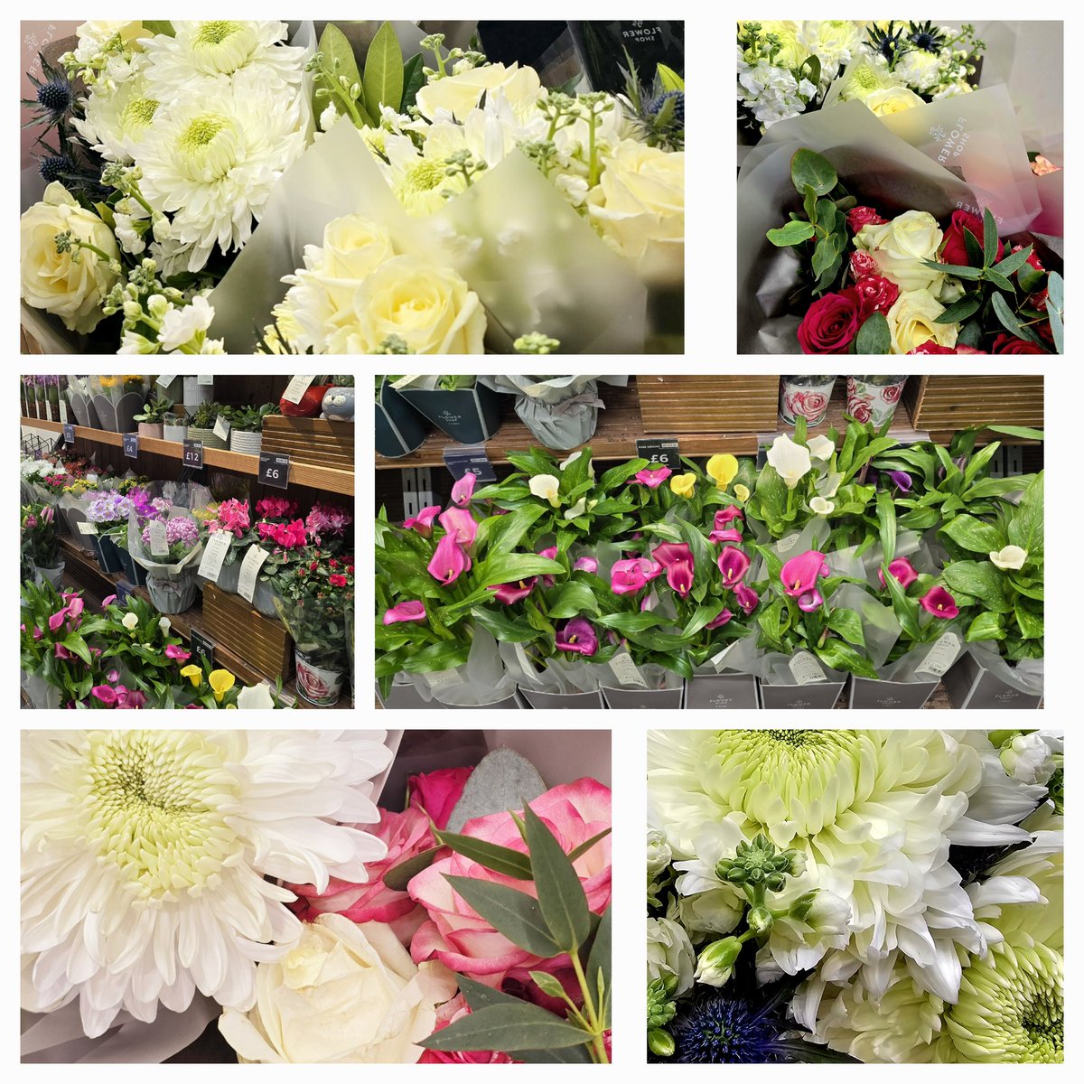 Viki Scaife 💙💛 tweet media