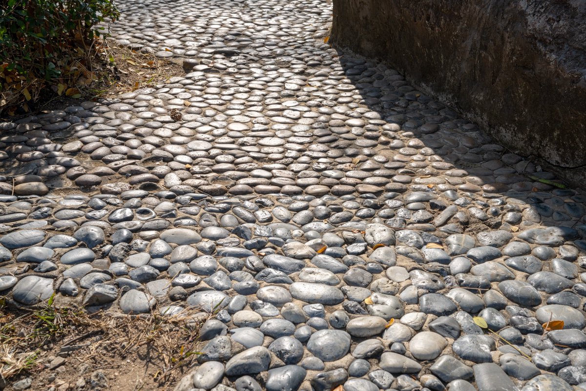 YeHangHarry's tweet image. Cobblestone pavement, photographed at Chiang Mai Zoo. Photo reference
#TextureReference #EnvironmentArt