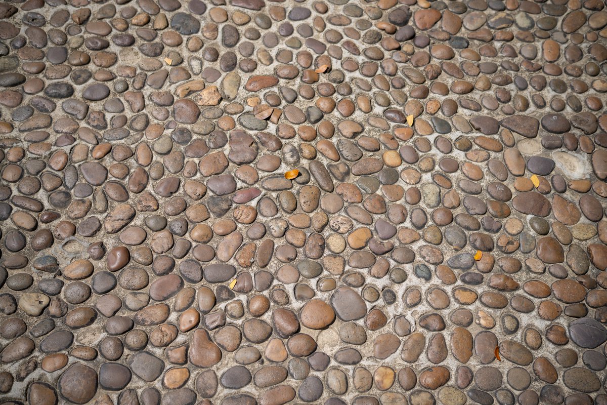 YeHangHarry's tweet image. Cobblestone pavement, photographed at Chiang Mai Zoo. Photo reference
#TextureReference #EnvironmentArt