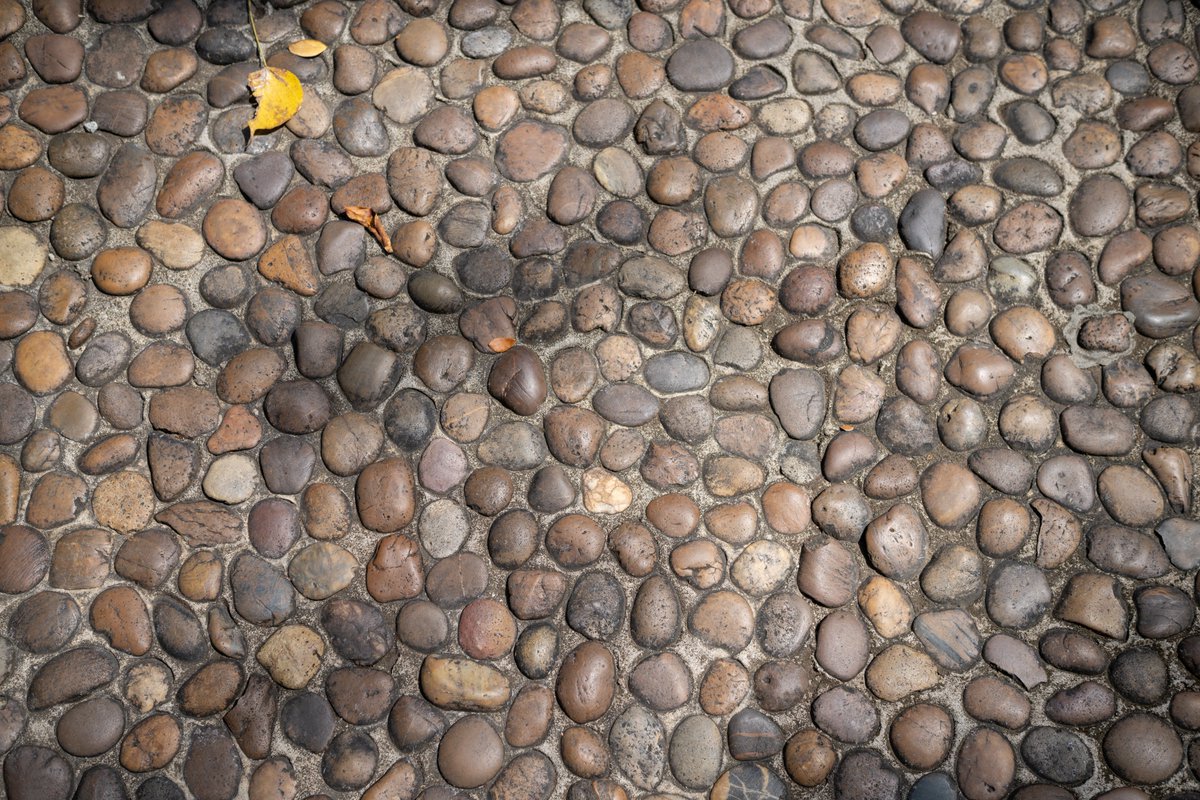 YeHangHarry's tweet image. Cobblestone pavement, photographed at Chiang Mai Zoo. Photo reference
#TextureReference #EnvironmentArt