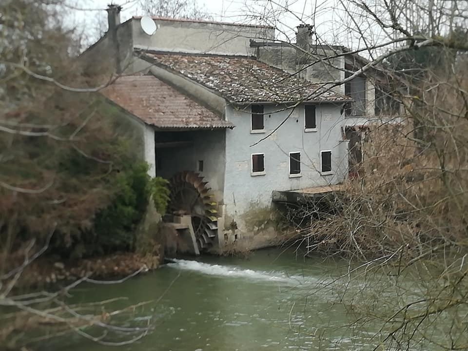 pericarla's tweet photo. #FebbraioCon #CasaLettori
#ScattiFotografici
Questo vecchio mulino si trova nel mio paese
sull'argine del fiume Oglio. La sua ruota è ferma, non macina più, si specchia nell'acqua del fiume
che per essa nutre l'antico rispetto… https://t.co/DtGyqpDiH4