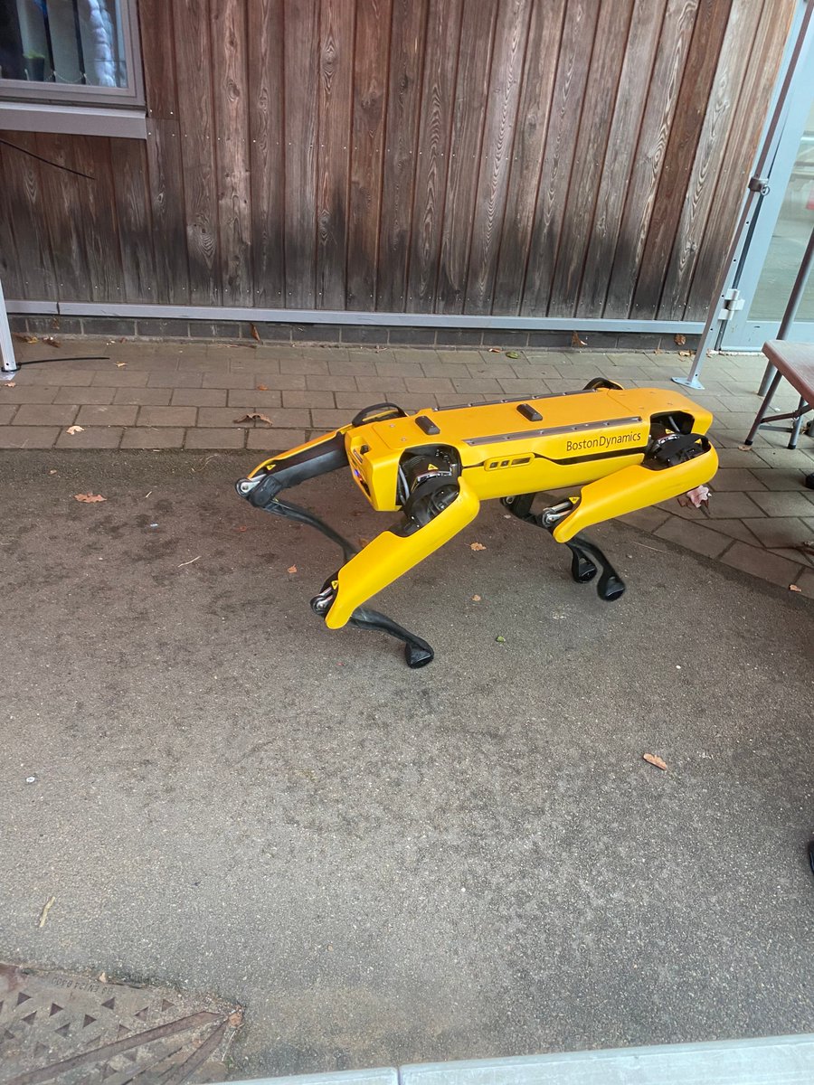 Shireland Hall tweet media