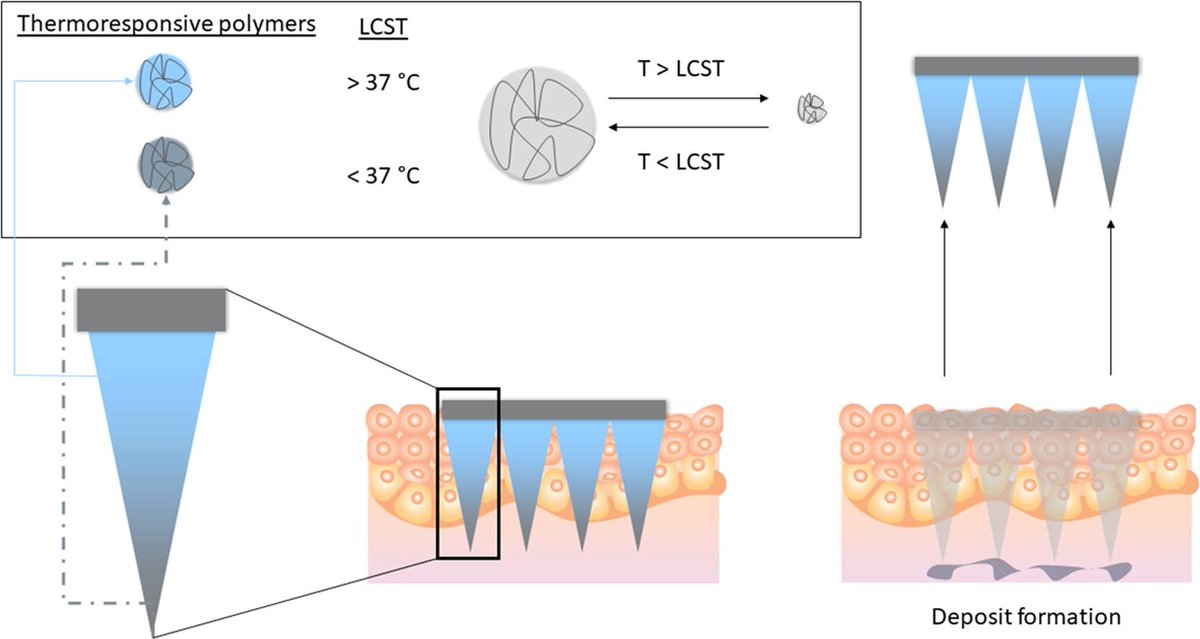 Don´t miss to read this excelent paper! Resulted from the visit of <a href="/JakesUdabe/">Jakes Udabe</a> to Queen's University Belfast in collaboration with <a href="/ryanfdonnelly/">Ryan Donnelly</a> and <a href="/SabrinaRoussel8/">Sabrina Roussel</a>. Congrats Jakes! <a href="/Ikerbasque/">Ikerbasque</a> @POLYMAT_BERC <a href="/ehu_kimika/">Kimika Fakultatea UPV/EHU</a>