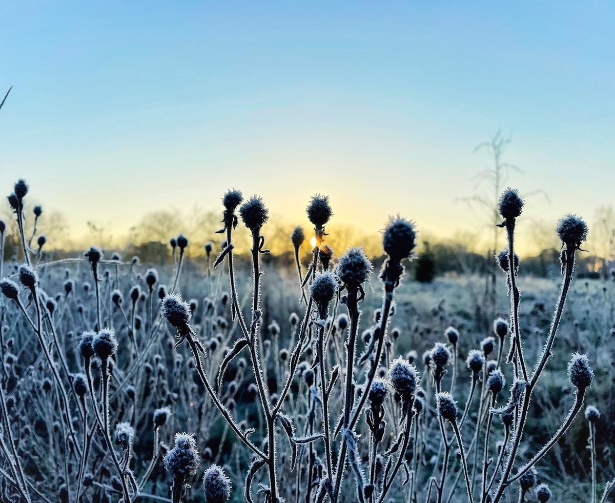 Ealing Council tweet media