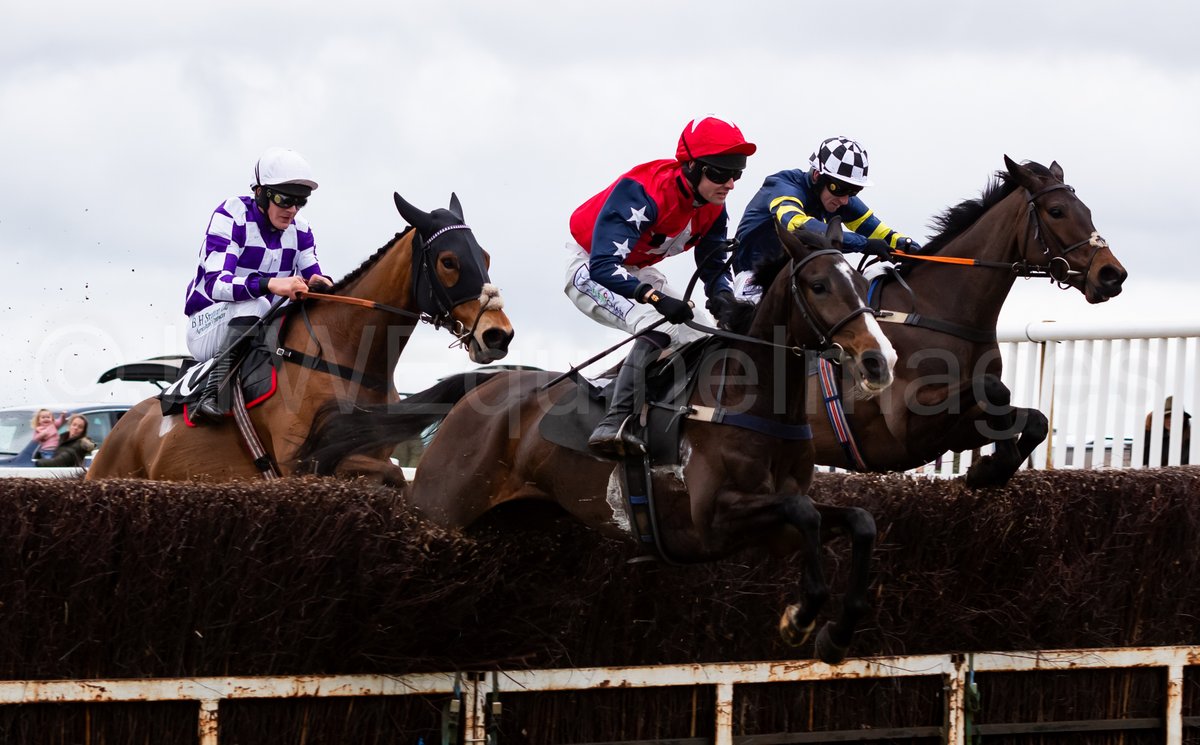 JTWEquineImag's tweet photo. Delighted to report that the official photographs from the Combined Services P2P at Larkhill last Sunday are now available to view here. Please do not hesitate in contacting us from any requests.
https://t.co/z3r1COBPH5
#GoPointing #Larkhill #CombinedServices https://t.co/0dL6dCzL4n