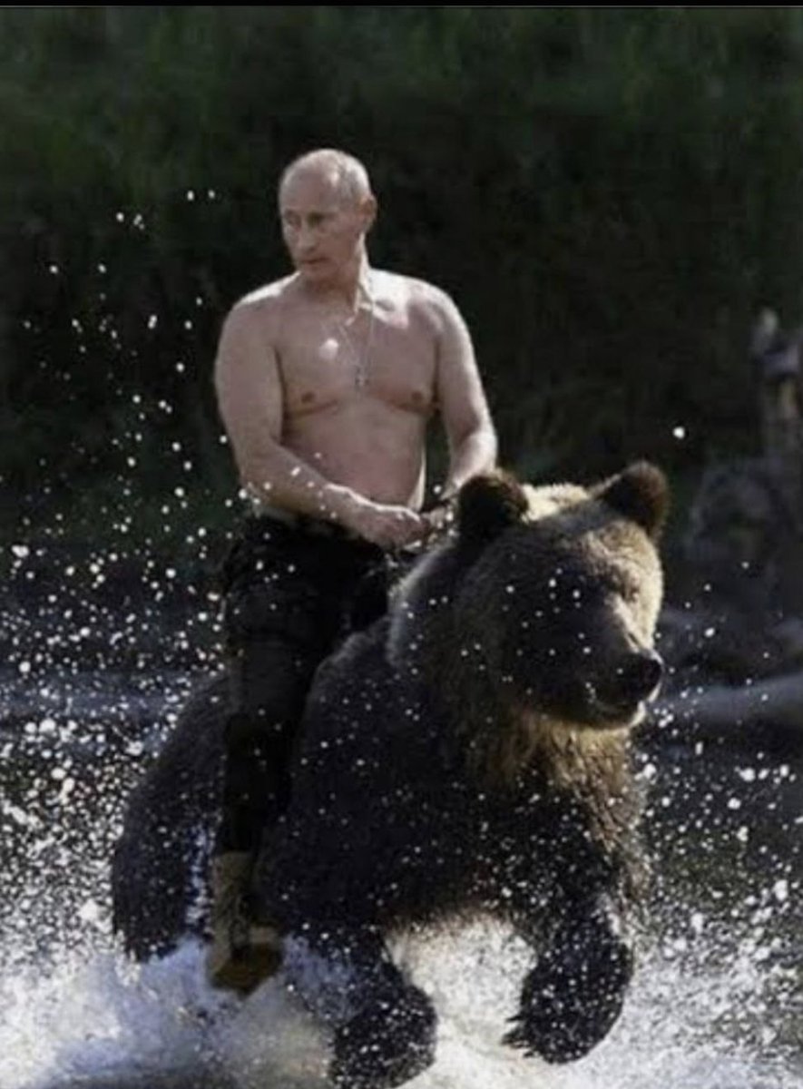 Vladimir Putin tweet media