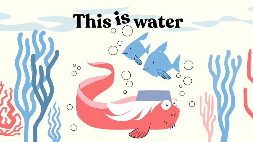 David Bonilla tweet media