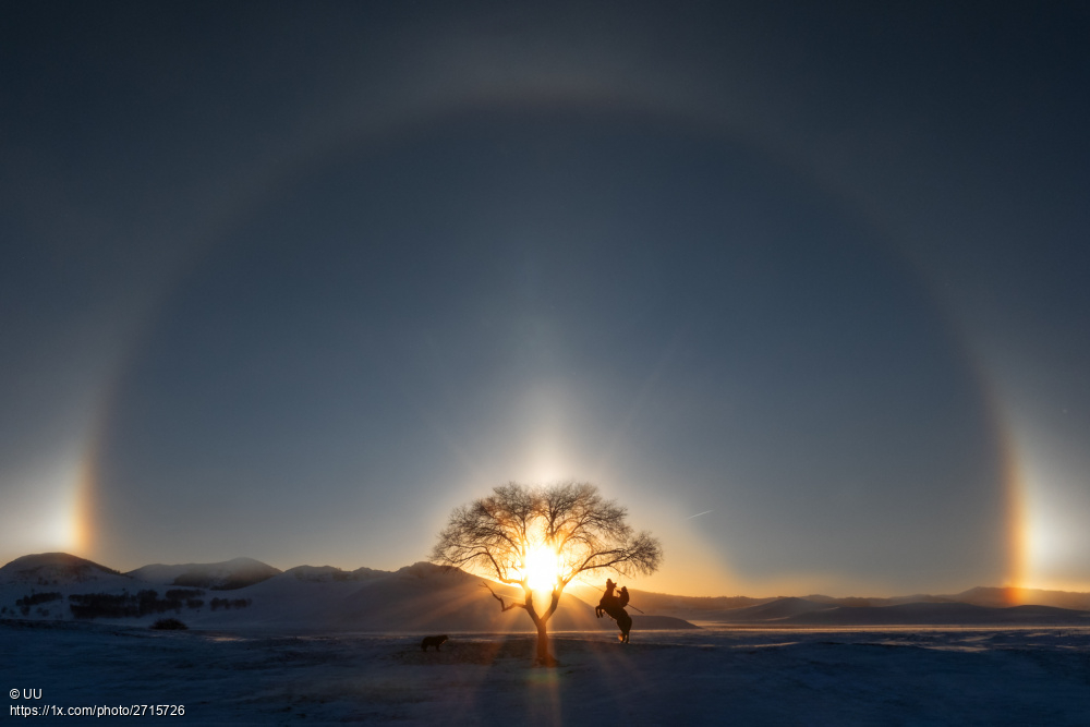 1x_com's tweet photo. 'Solar prominence' (type of solar halo) by UU.
https://t.co/Ws71CCMRHA #landscapephotography #solarhalo #solarprominence #halo #sun #silhouettes https://t.co/iw8vk8rwpl