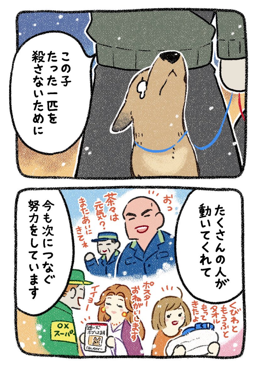 保護犬茶々のお話【第27話】 
飼い主から1番聞きたくない言葉
#漫画が読めるハッシュタグ 