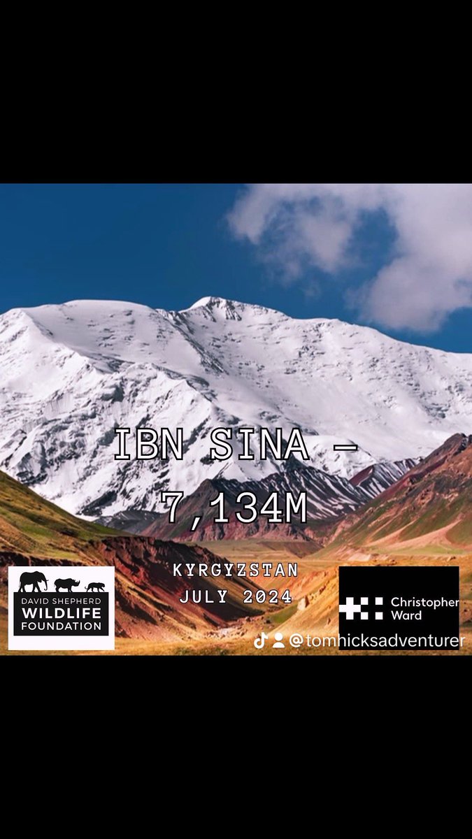 Tom Hicks tweet media