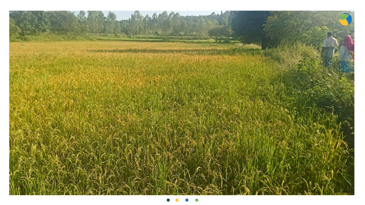 WOTRIndia's tweet image. 3/3 &quot;We wish such initiatives continue in our village. Earlier, obtaining water for our livestock was also challenging, and the intervention has successfully addressed these issues,” says a local farmer. 👨‍🌾

#WOTR4Development #WOTRat30