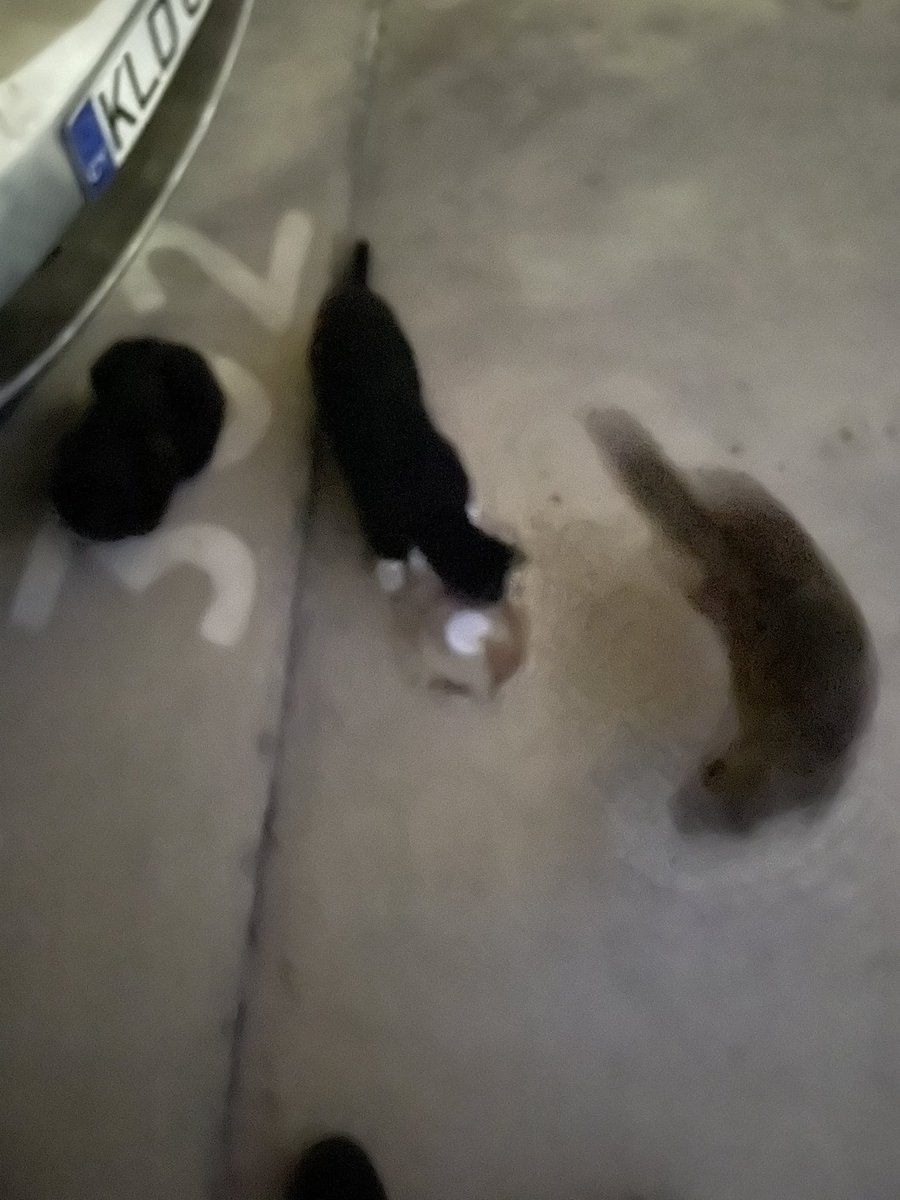 erolatex's tweet image. Цепочка ретвитов с эстетикой вашей жизни при условии, что фотографиям не больше месяца