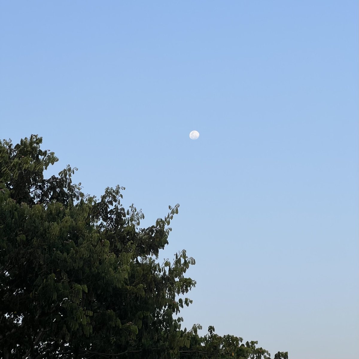 lostyouinmay's tweet image. ขอให้เจอท้องฟ้าในแบบที่เธอชอบ :-)