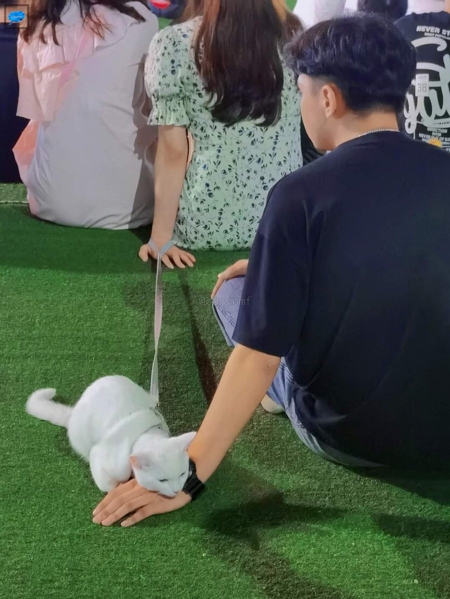 How i met your mother