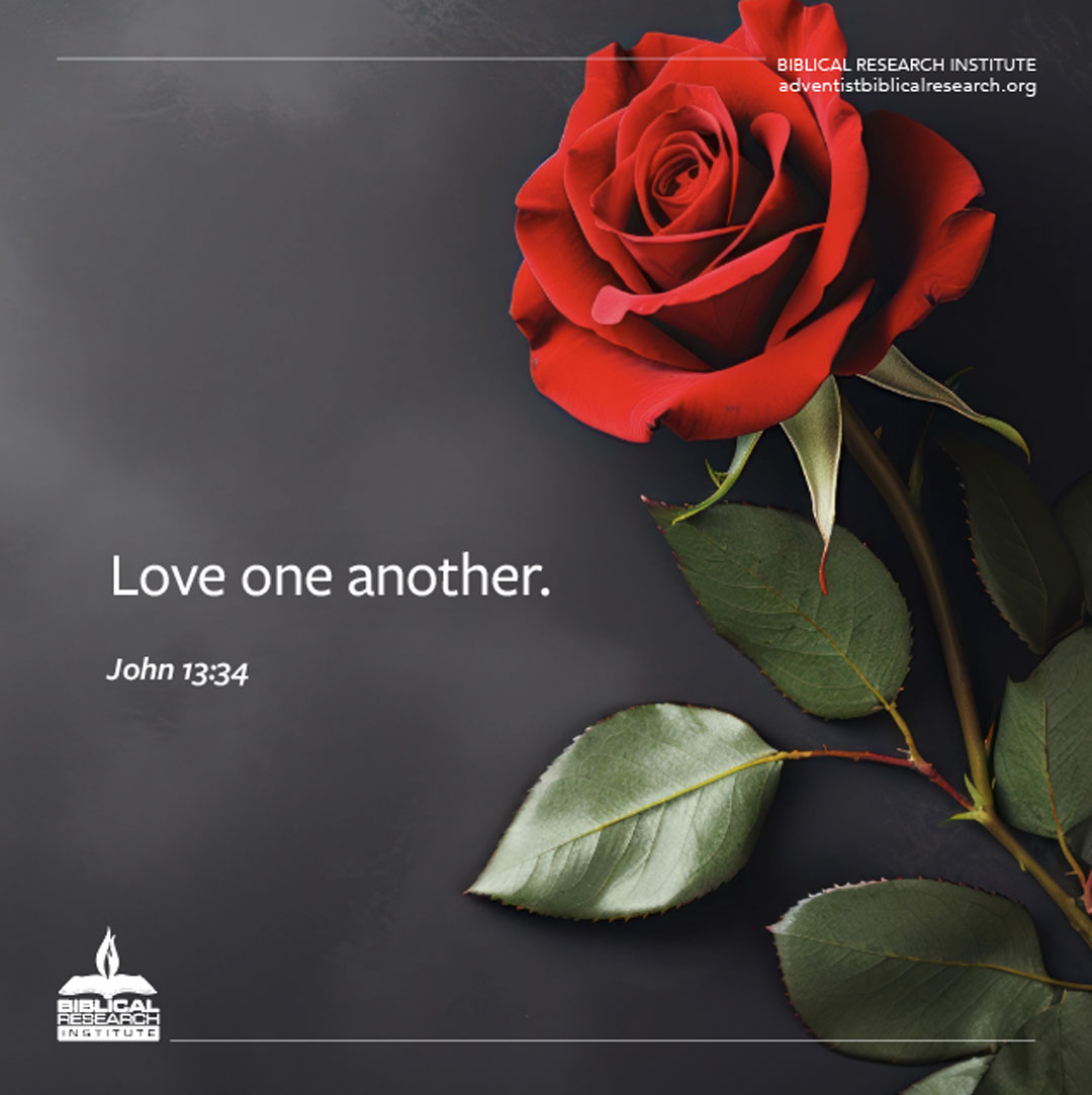 Biblical Research Institute tweet media