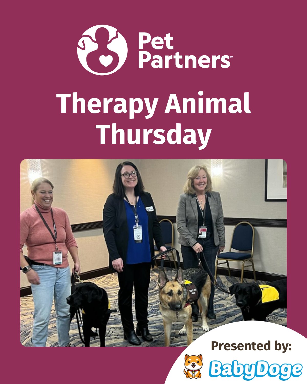 Pet partners cheap therapy