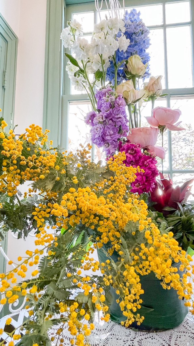 photomasu's tweet photo. 最近ミモザの花便りをX投稿で時々見かけるようになりました。
写真は、2023/2/26に出かけた、横浜山手西洋館"ブラフ18番館"の特別装飾。
街中でミモザを見かけたのは、3月初旬でした。
ちなみに、3月8日は"国際女性デー"
ミモザの花言葉には『感謝』の意味があり、ミモザをプレゼントするらしいです。 https://t.co/gpgtTdQsPz
