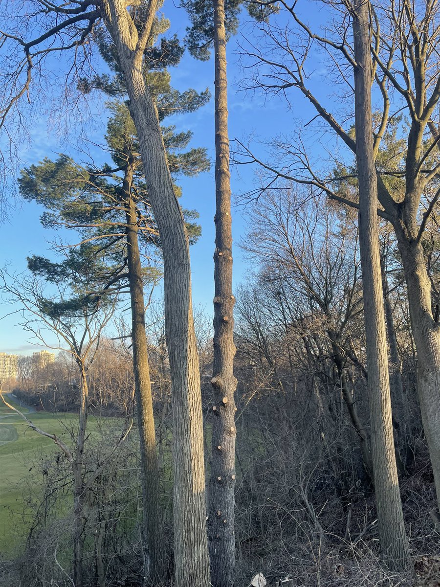 timster2x's tweet photo. Ok.  Here is a game changer for the I.  Where do you find this view?
#theISpy https://t.co/R68IGQdOXp