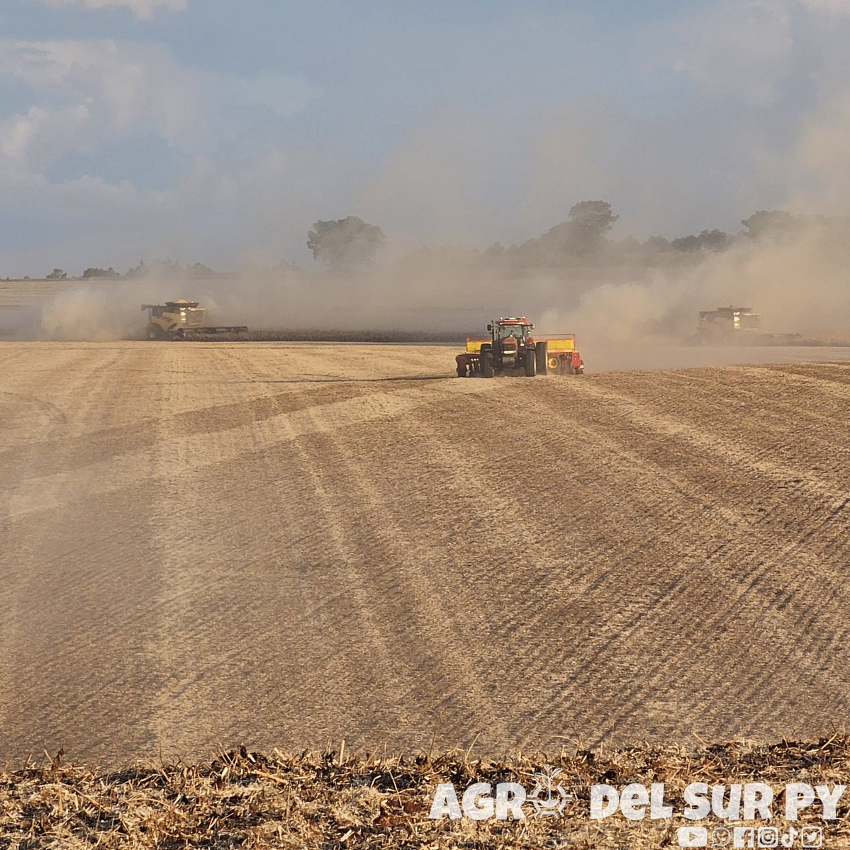 agro_py's tweet photo. Postal del Agro 🇵🇾🌱
Ph: A.Schöller https://t.co/PapNUKF0QT