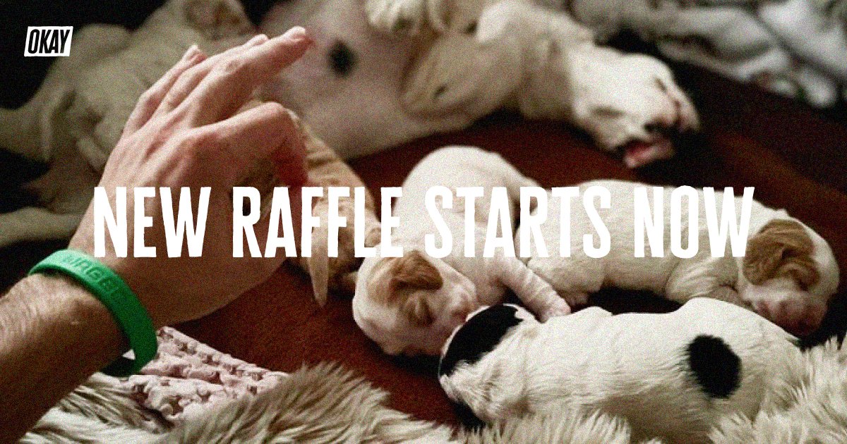 okaydawgs's tweet photo. THE wristband.

Join our mission to spread hope through art and code. New Okay Dogs raffle starts now ↓ https://t.co/FjPGzTRsjq