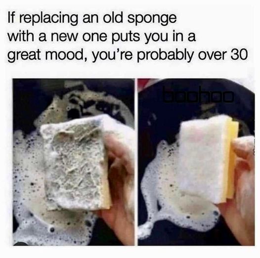 WholesomeMeme's tweet photo. https://t.co/jGembsqCCh