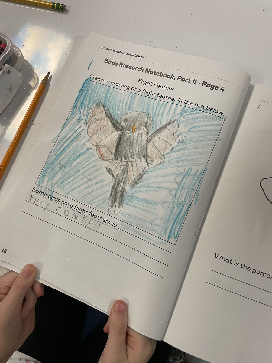 These first graders are building so much background knowledge about wings and feathers! I love working with @alexiswagner98 's kiddos and helping them write and sketch! @ELeducation @GutermuthES