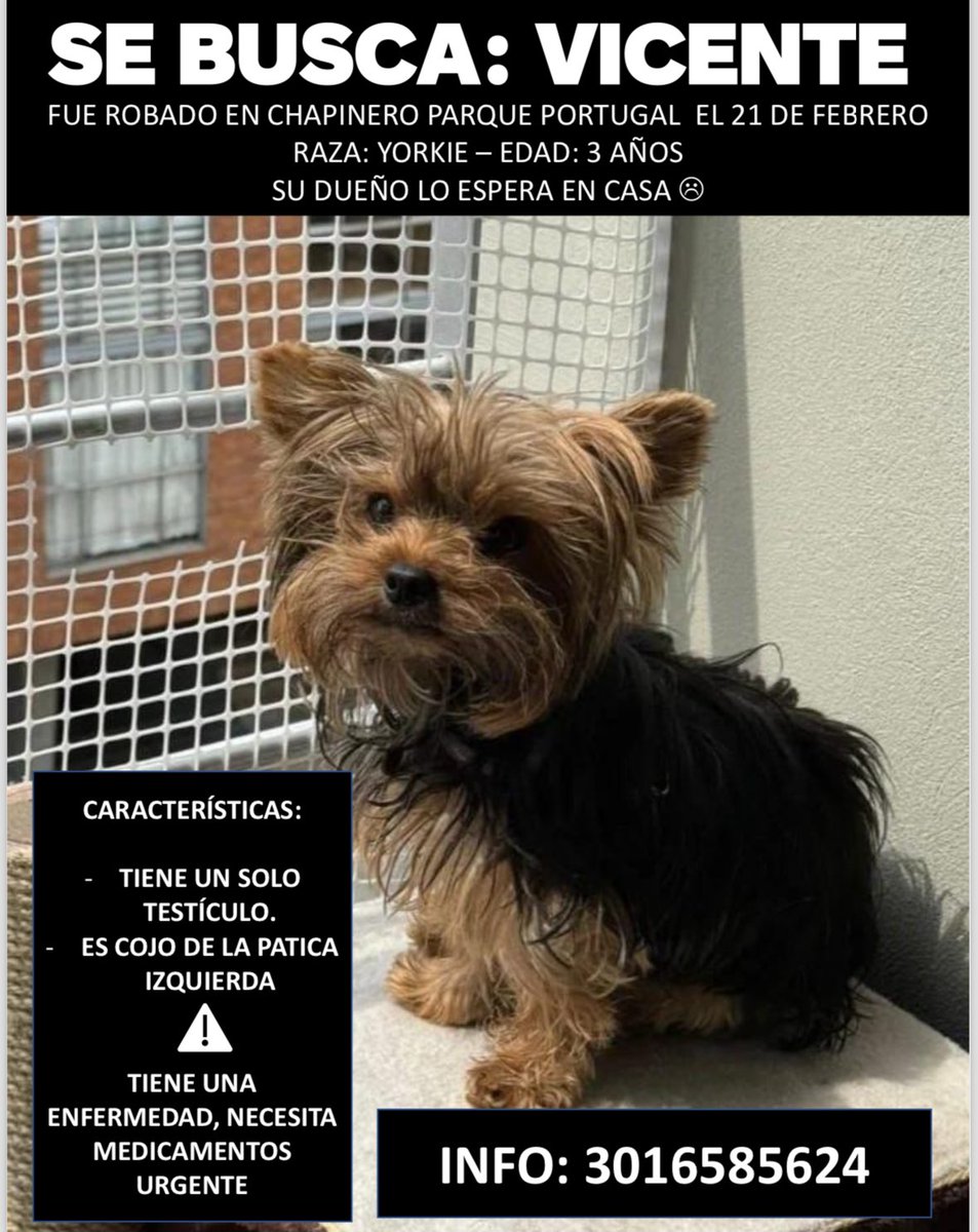 MariaCometa's tweet photo. Es muy importante encontrarlo, Vicente tiene una enfermedad y necesita medicamentos. Ayuda por favor!!! Si llegan a ofrecerles este perrito contactar a su dueño. 😭💔 https://t.co/oLfkqdu2eb
