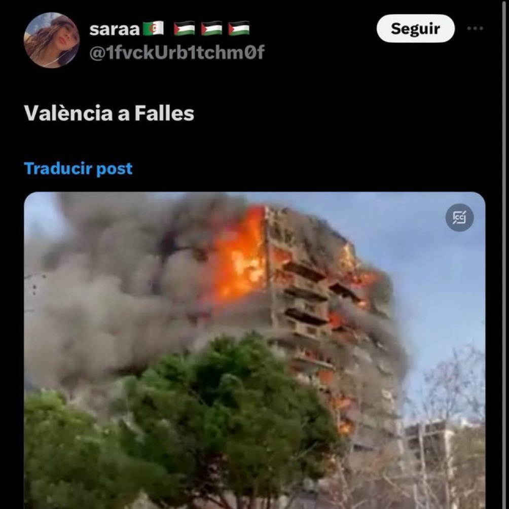 El prototipo de mujer progre y posmoderna del siglo XXI: ponemos la banderita de Palestina 🇵🇸 porque está de moda; pero pasa algo grave en su país y “Valencia en fallas”. Inhumano.