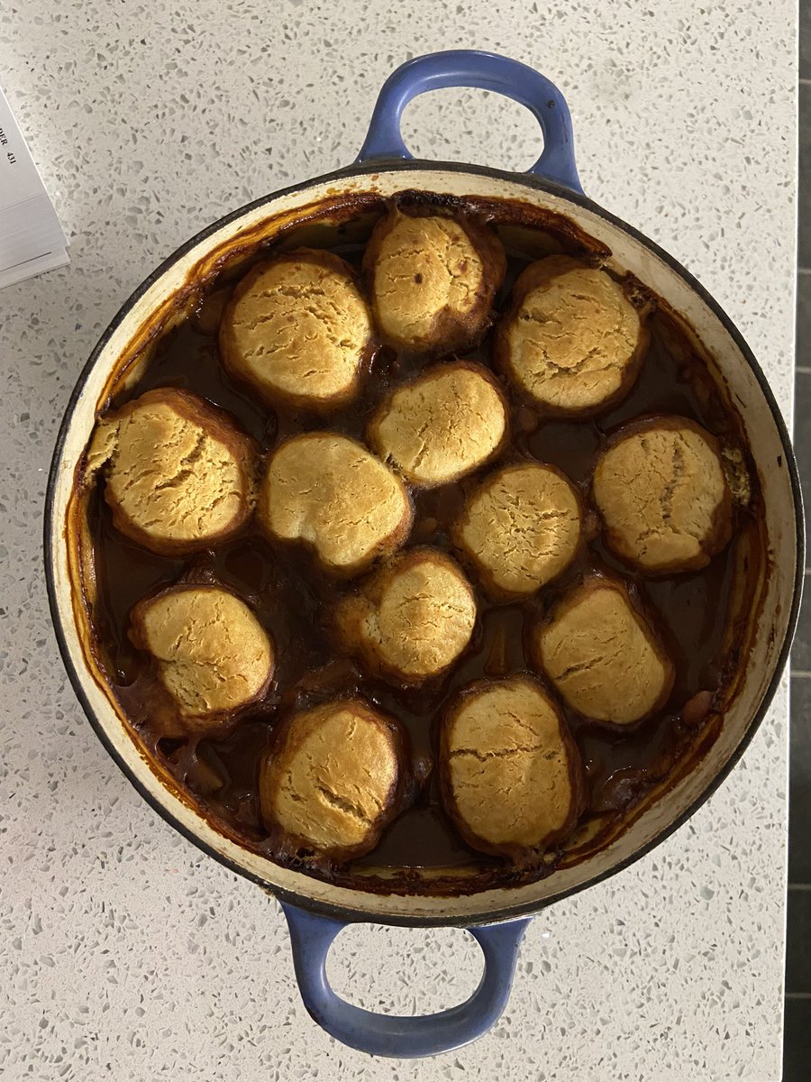 Sampadoodle's tweet photo. Eurgh, the rain, eternal grey sky, mud upto the chooks thighs - but oh the smell in the kitchen! #vegetablecasserole with #dumplings #homecook #foodforthesoul #familysupper #lifeontheveg https://t.co/qsWr7I8kd8