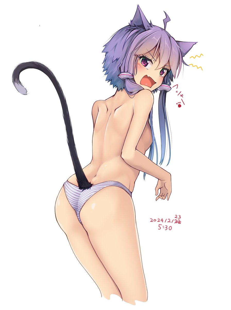 猫の日…ではない 